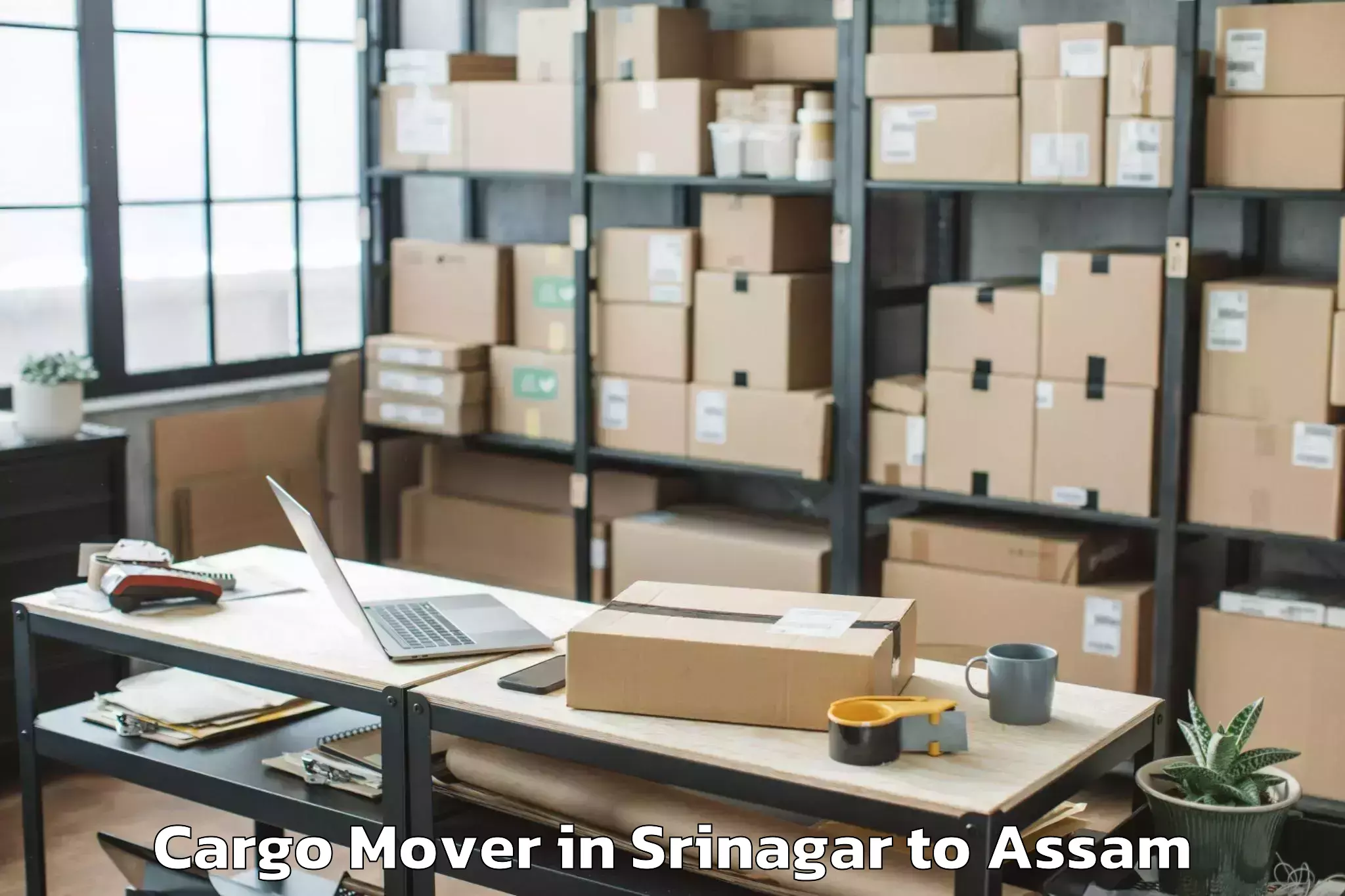 Top Srinagar to Biswanath Chariali Cargo Mover Available